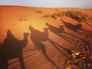 サハラ砂漠ツアーでラクダライド！